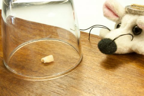 History Of The Tooth Fairy Tooth Fairy gift ideas